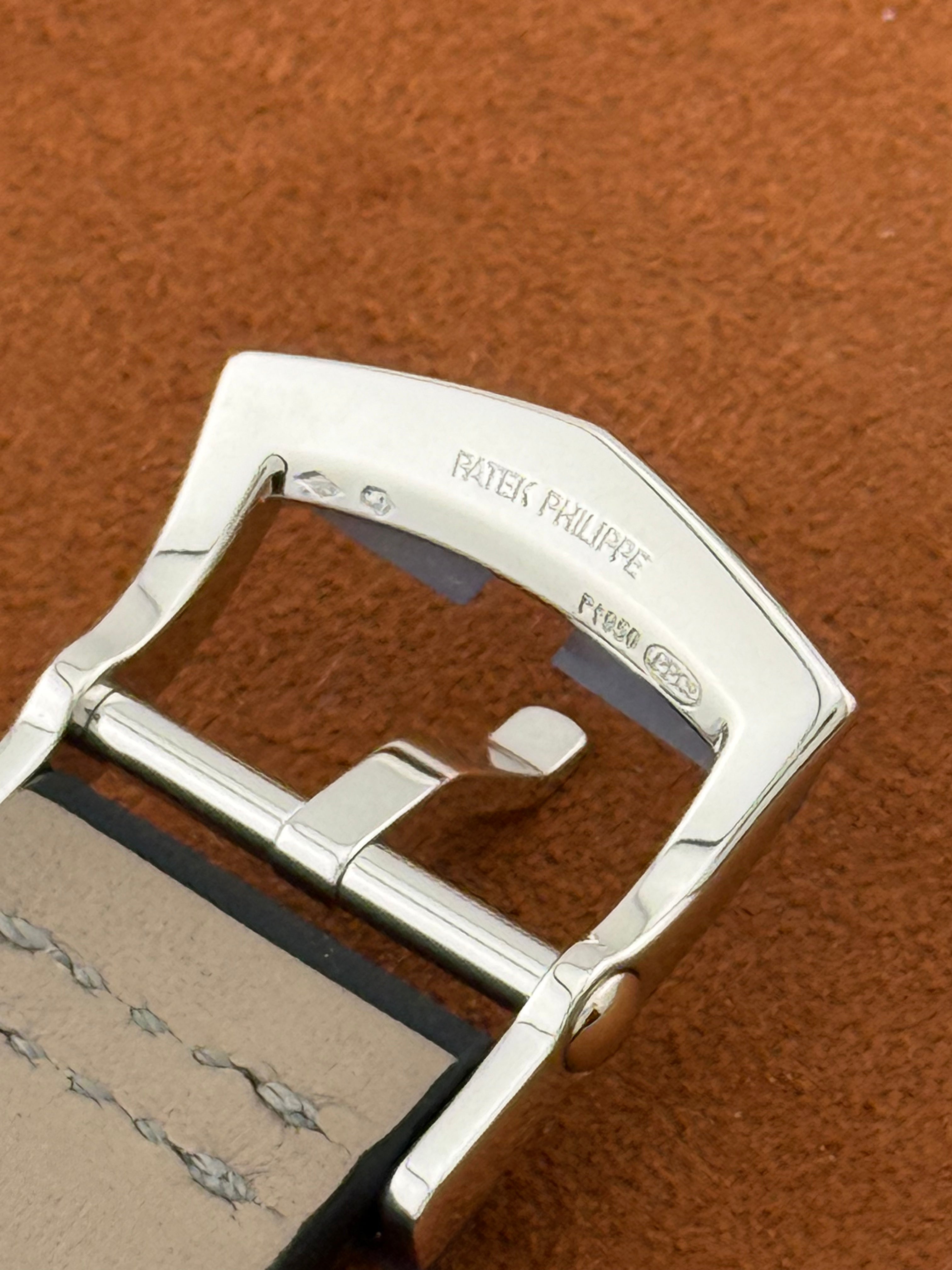Patek Philippe Alarm Travel Time — Ref. 5520P-001